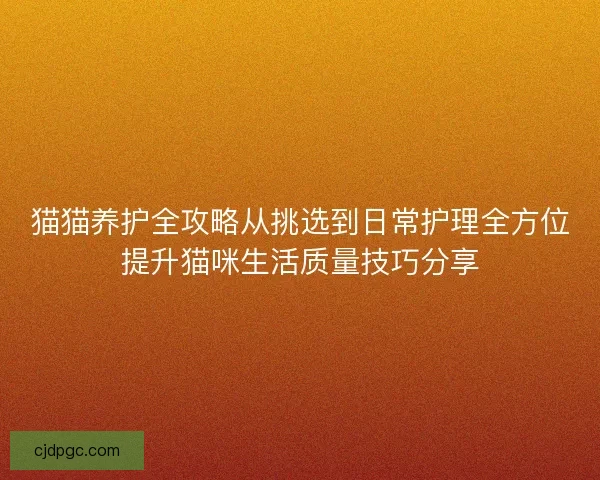 猫猫养护全攻略从挑选到日常护理全方位提升猫咪生活质量技巧分享