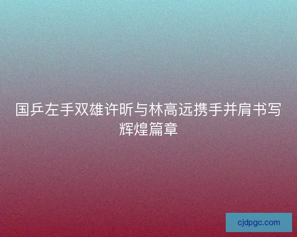国乒左手双雄许昕与林高远携手并肩书写辉煌篇章