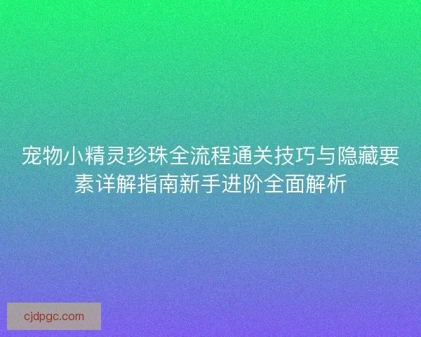 宠物小精灵珍珠全流程通关技巧与隐藏要素详解指南新手进阶全面解析